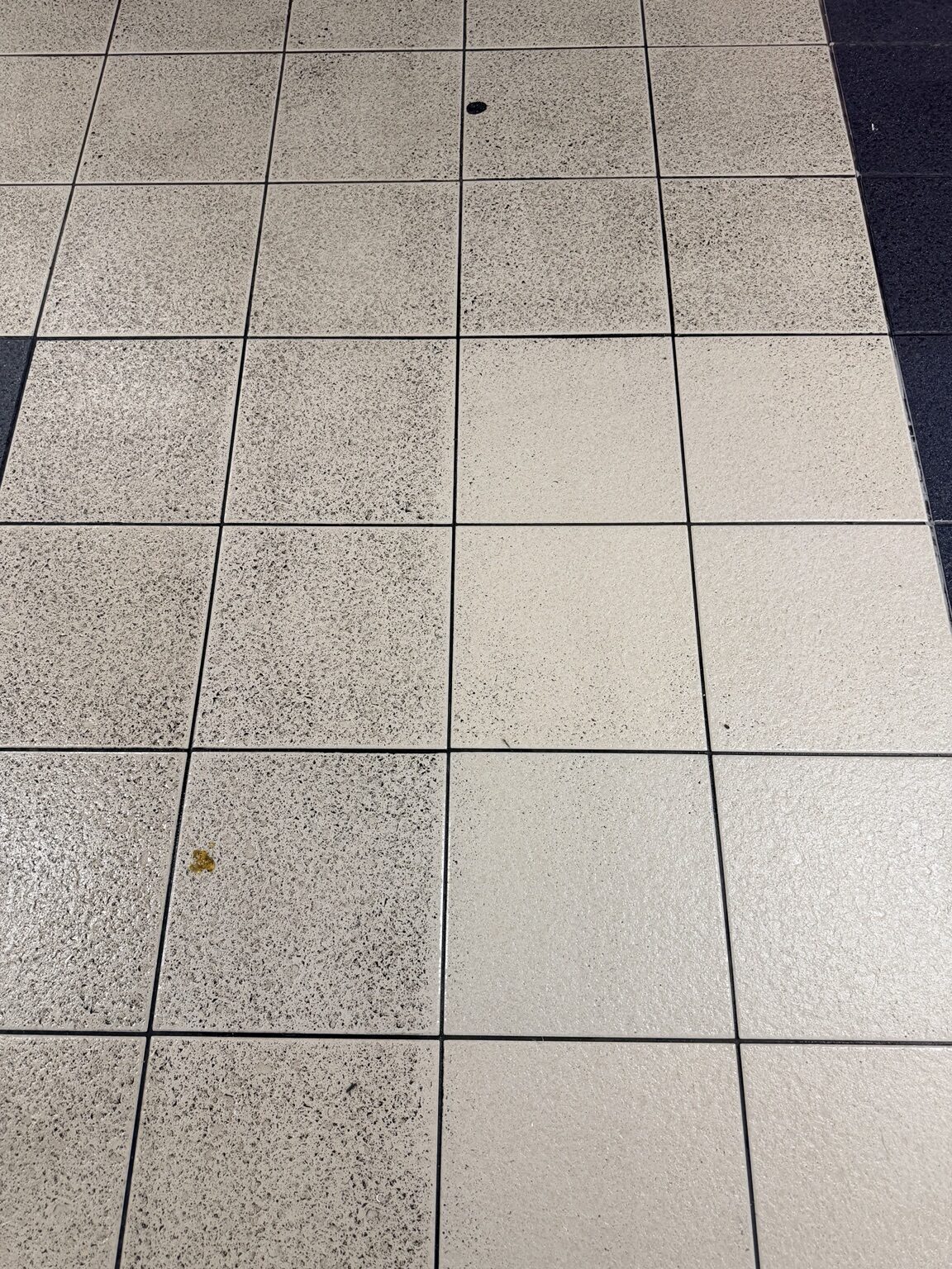 Porcelain tile cleaning test sample at House of Sher in Glasgow showing a visibly cleaner section