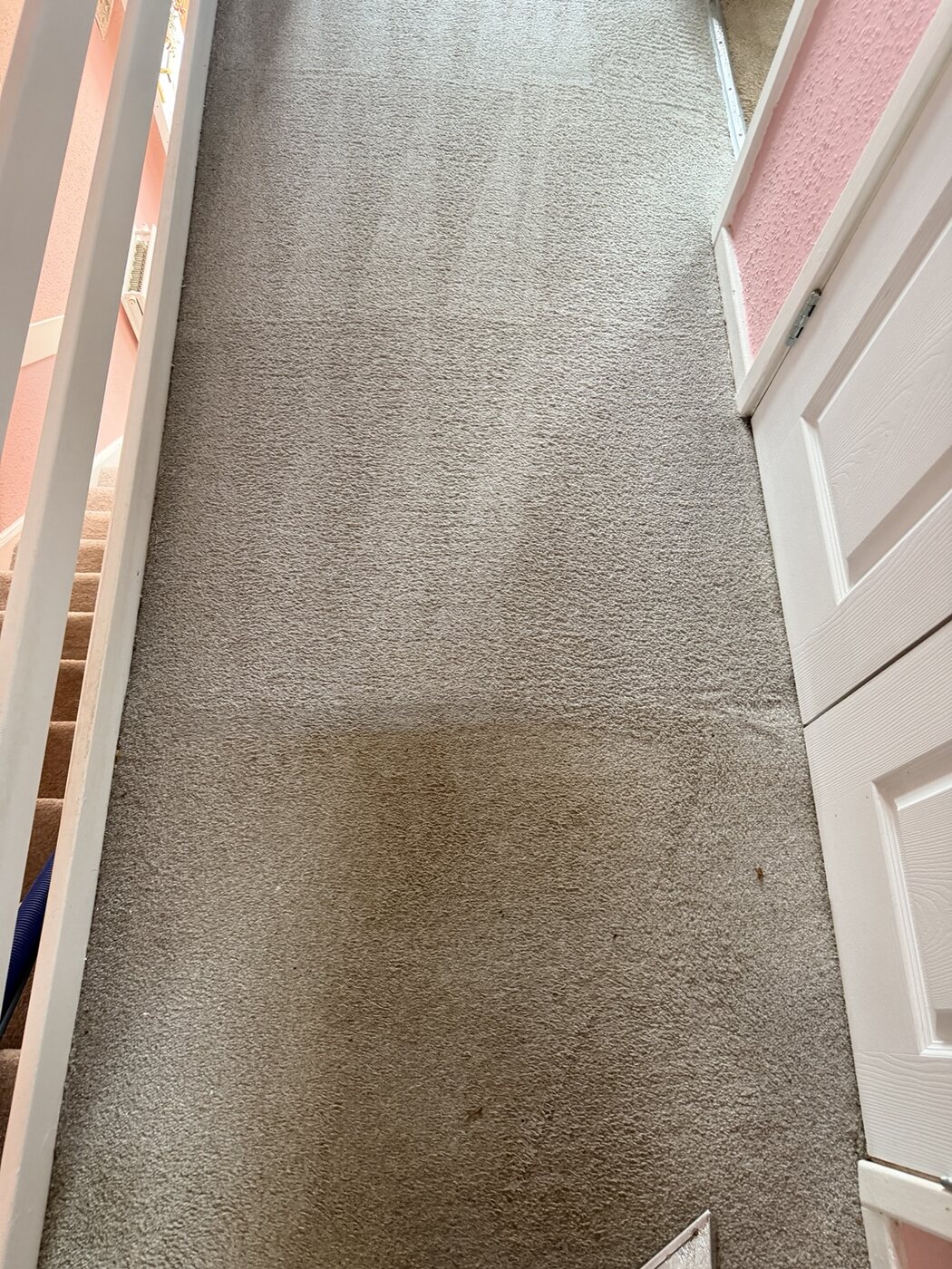 In-progress carpet cleaning comparison on a polyester hallway carpet in Armadale