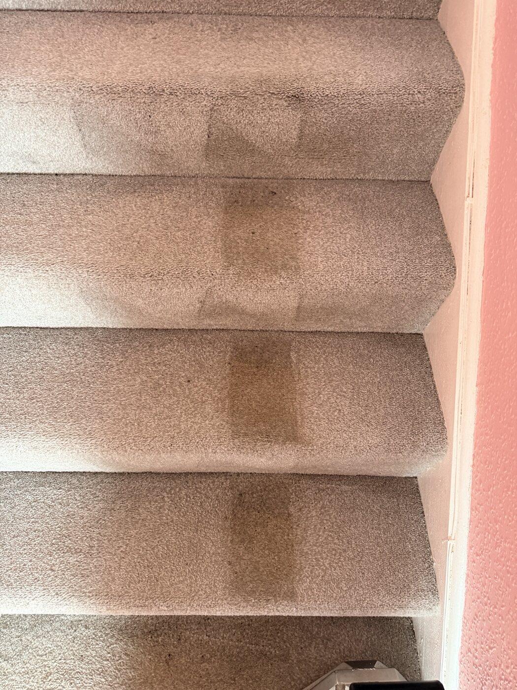 Part-cleaned polyester stair carpet in Armadale showing the difference during hot-water extraction