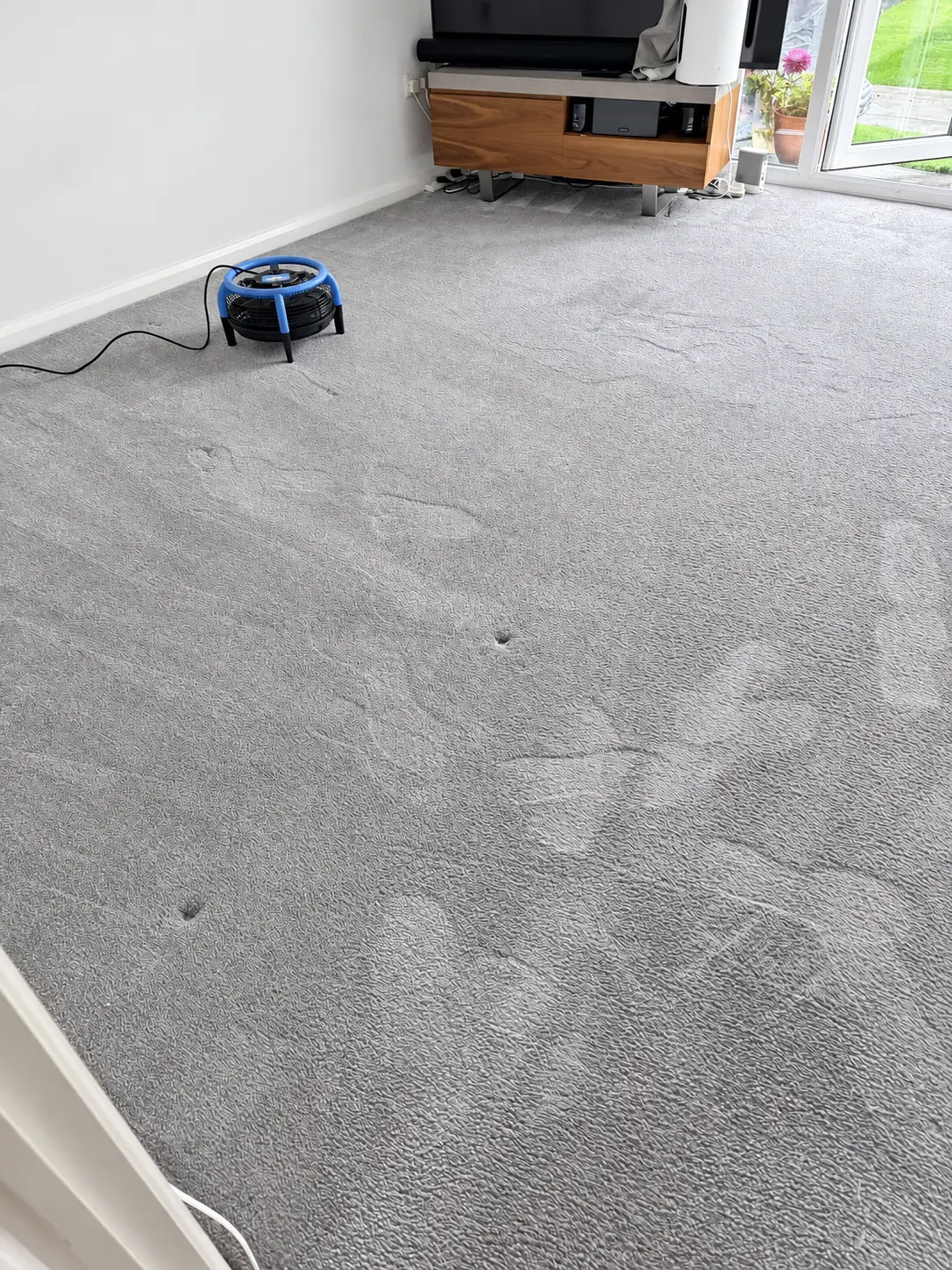 Detergent-free truck-mounted carpet clean in Heartlands Whitburn with a drying fan and visible pile movement