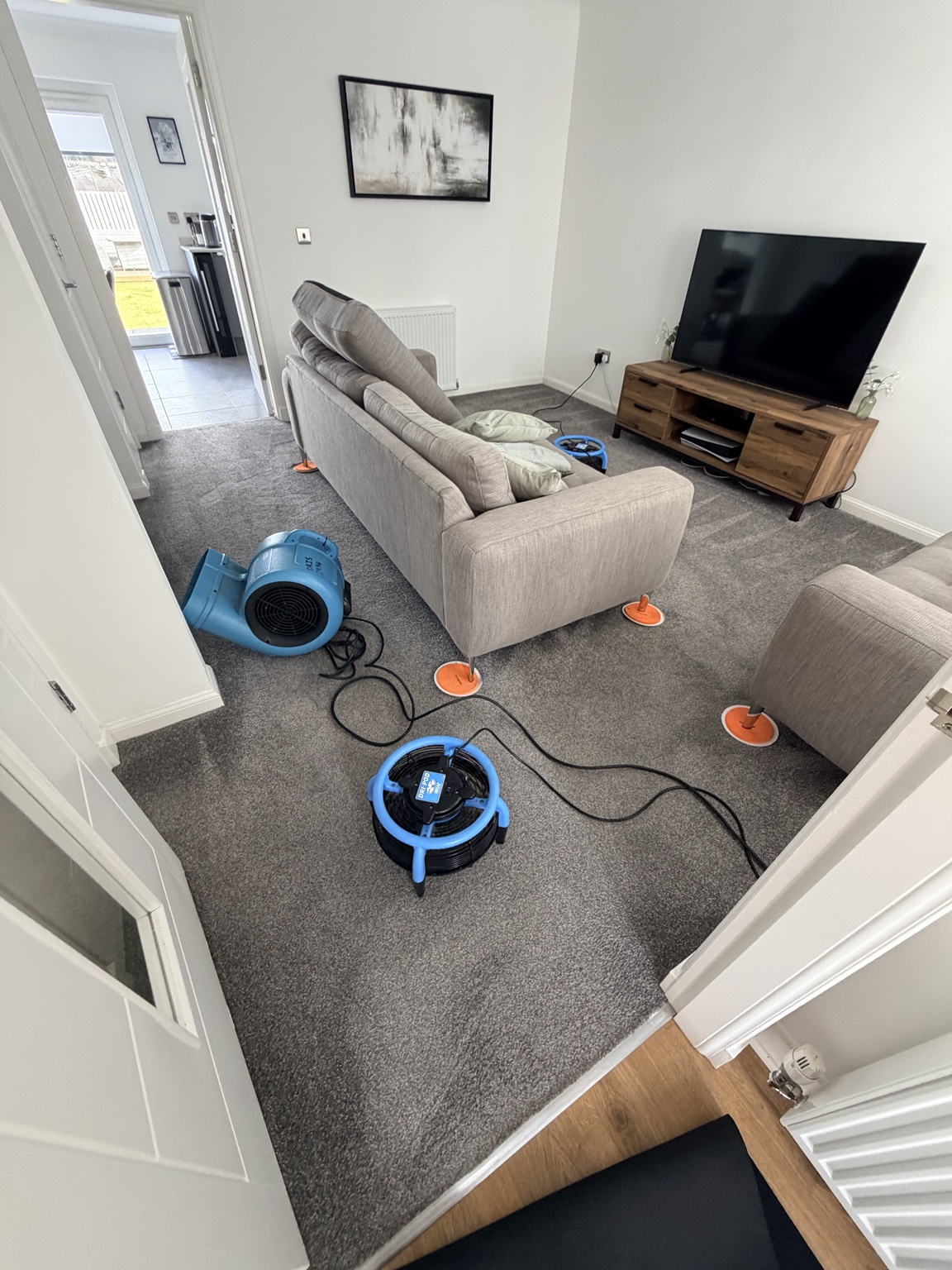 Polypropylene carpet in Heartlands after truck-mounted cleaning