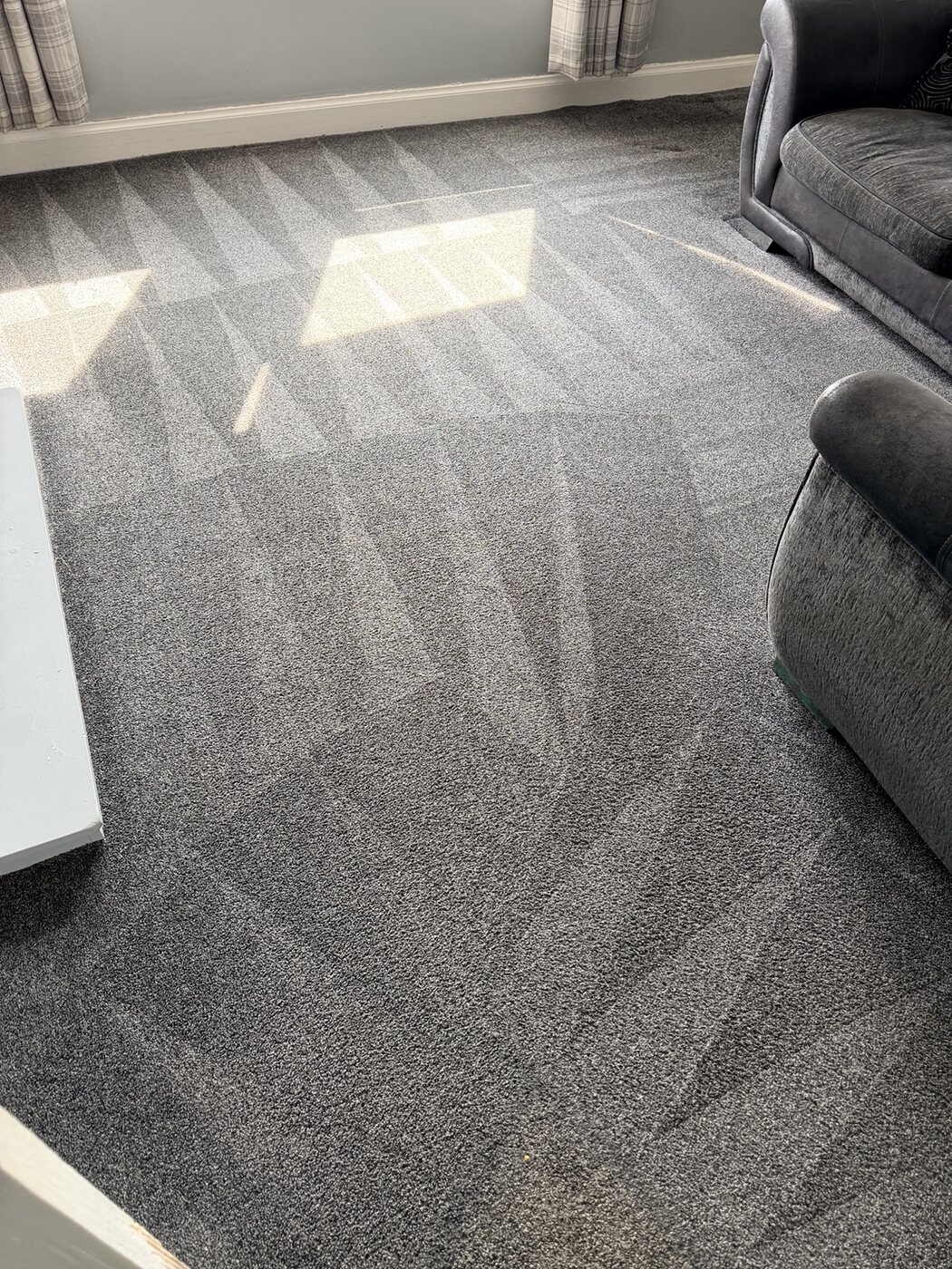 Freshly cleaned grey polypropylene carpet in a Whitburn home after dog grease and odour treatment
